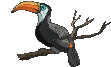 bird_in_tree.gif